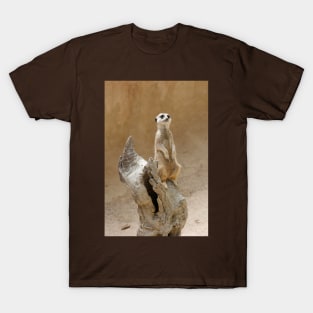 Meerkat, suricata suricata T-Shirt